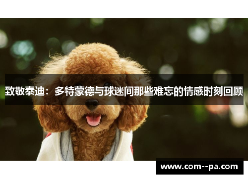 致敬泰迪：多特蒙德与球迷间那些难忘的情感时刻回顾