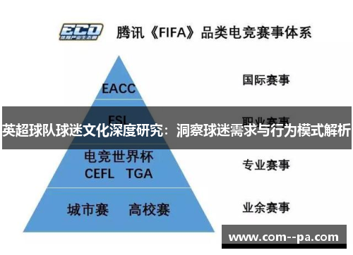 英超球队球迷文化深度研究：洞察球迷需求与行为模式解析