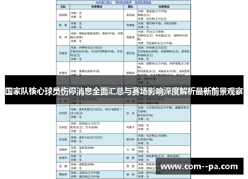 国家队核心球员伤停消息全面汇总与赛场影响深度解析最新前景观察