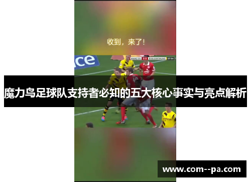 魔力鸟足球队支持者必知的五大核心事实与亮点解析