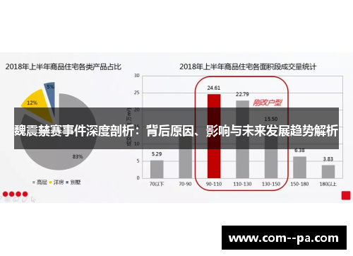 魏震禁赛事件深度剖析：背后原因、影响与未来发展趋势解析